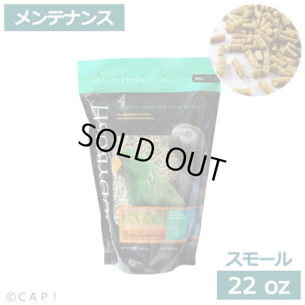 画像1: CAP! 鳥の餌 賞味期限2026/2/28 ラウディブッシュ メンテナンス スモール 22oz(624g) (1)