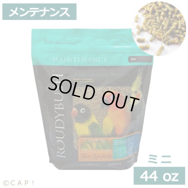 画像1: CAP! 鳥の餌 賞味期限2026/2/28ラウディブッシュ メンテナンス ミニ 44oz(1.25kg) (1)