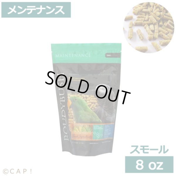 画像1: CAP! 鳥の餌 賞味期限2026/3/29 ラウディブッシュ メンテナンス スモール 8oz(227g) (1)