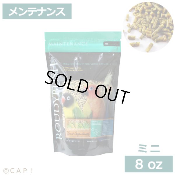 画像1: CAP! 鳥の餌 賞味期限2026/2/28ラウディブッシュ メンテナンス ミニ 8oz(227g) (1)