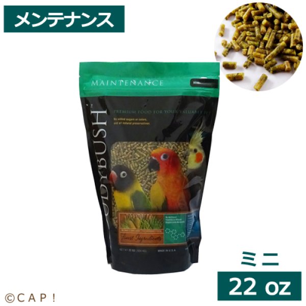 画像1: CAP! 鳥の餌 賞味期限2026/6/6ラウディブッシュ メンテナンス ミニ 22oz(624g) (1)