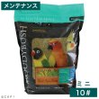 画像1: CAP! 鳥の餌 賞味期限2026/5/23ラウディブッシュ メンテナンス ミニ 10# (4.54kg) (1)