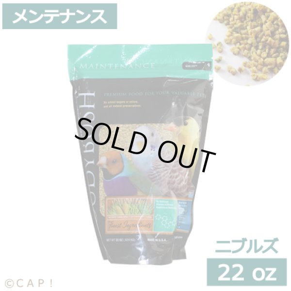 画像1: CAP! 鳥の餌 賞味期限2026/3/21 ラウディブッシュ   メンテナンス ニブルズ 22oz(624g) (1)