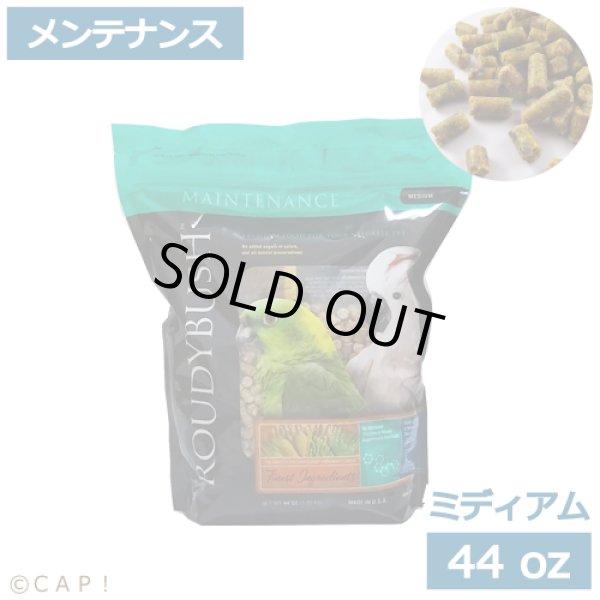 画像1: CAP! 鳥の餌 賞味期限2025/10/20ラウディブッシュ メンテナンス ミディアム 44oz(1.25kg) (1)