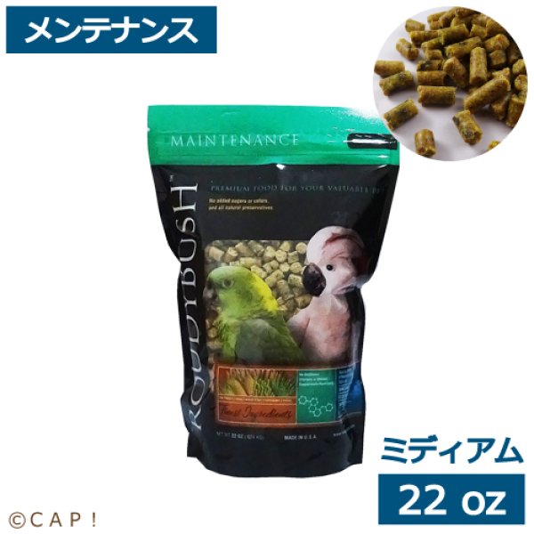 画像1: CAP! 鳥の餌 賞味期限2026/2/1 ラウディブッシュ メンテナンス ミディアム 22oz(624g) (1)