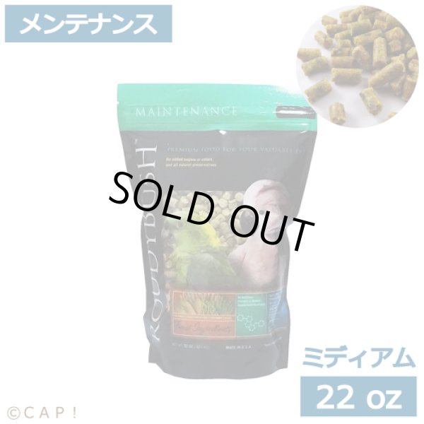 画像1: CAP! 鳥の餌 賞味期限2026/2/1 ラウディブッシュ メンテナンス ミディアム 22oz(624g) (1)