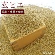 画像1: CAP! 鳥の餌 賞味期限2026/3/31【国内産/農薬不使用】玄ヒエ 200g　★ (1)