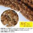 画像4: CAP! 鳥の餌 賞味期限2026/2/28 ※LN100※【熊本県産】有機JAS認定品 粟の穂【極】 100g 2023年産★ (4)