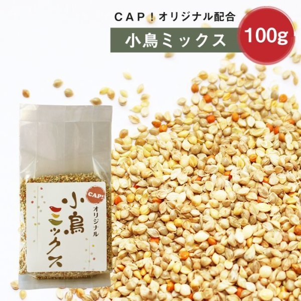 画像1: CAP! 鳥の餌 賞味期限2026/3/31小鳥ミックス 100ｇ★ (1)