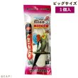 画像1: CAP! 鳥の餌 賞味期限2026/12/31 ペッズイシバシ カットルボーン ビッグ オカメインコ １個入 (1)