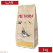 画像1: CAP! 鳥の餌 賞味期限2025/1/31PSITTACUS HAND FEEDING Mini  1kg (1)