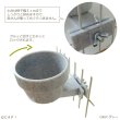 画像3: 【Wyld's Wingdom】#0510 Quick-Lock 10oz (296ml)　アクアグリーン（critter brites） (3)