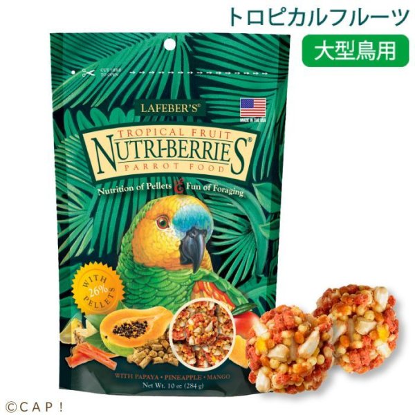 画像1: CAP! 鳥の餌 賞味期限2025/10/1ラフィーバー トロピカルフルーツ パロット(10oz/284g) (1)