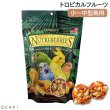 画像1: CAP! 鳥の餌 賞味期限2025/10/3ラフィーバー トロピカルフルーツ オカメインコ (10oz/284g) (1)