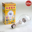 画像1: アサヒ　保温電球　40W (1)