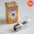 画像1: アサヒ　ミニ保温電球　30W (1)