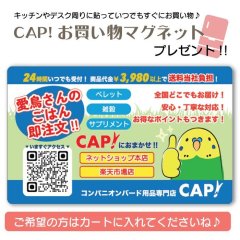 【プレゼント】CAP!お買い物マグネット