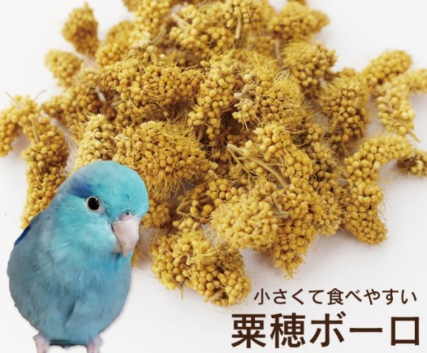 画像1: CAP! 鳥の餌 賞味期限2025/12/31 熊本県産 有機JAS認定品 粟穂ボーロ 30g (1)