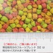 画像2: CAP! 鳥の餌 賞味期限2025/8/9ズプリーム フルーツブレンド S パラキート (10#/4.5kg) (2)