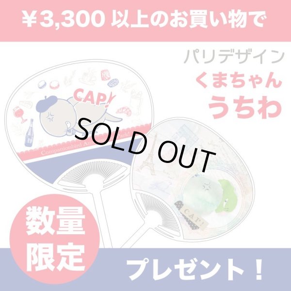 画像1: 税込￥3,300以上のお買い物でプレゼント！ 【2024ver.】CAP!オリジナル くまちゃんうちわ (1)