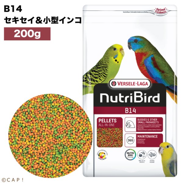 画像1: 賞味期限2025/12/31【ヴァーセレ・ラガ】※ B14小・200g※ ニュートリバード B14セキセイ&小型インコ 小袋 200g (1)